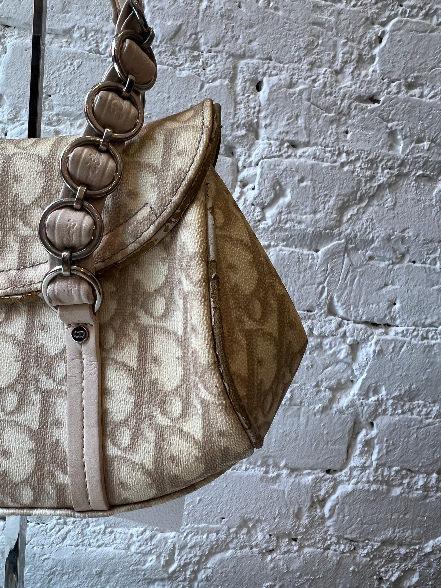 Christian Dior Trotter Romantique Bag
