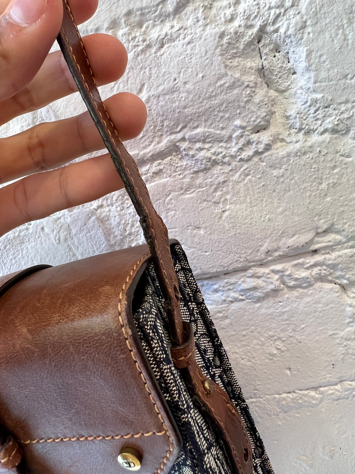 Christian Dior Trotter Street Chic Crossbody