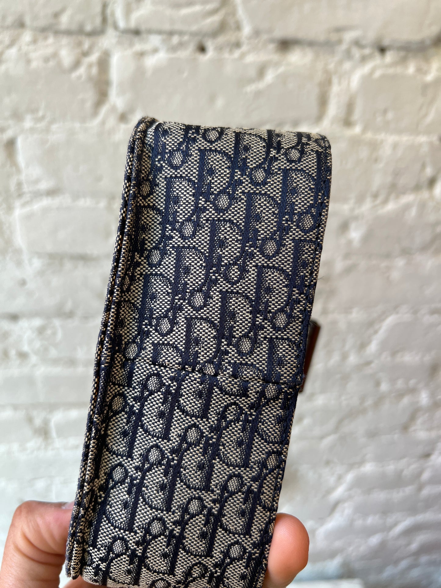 Christian Dior Trotter Street Chic Crossbody