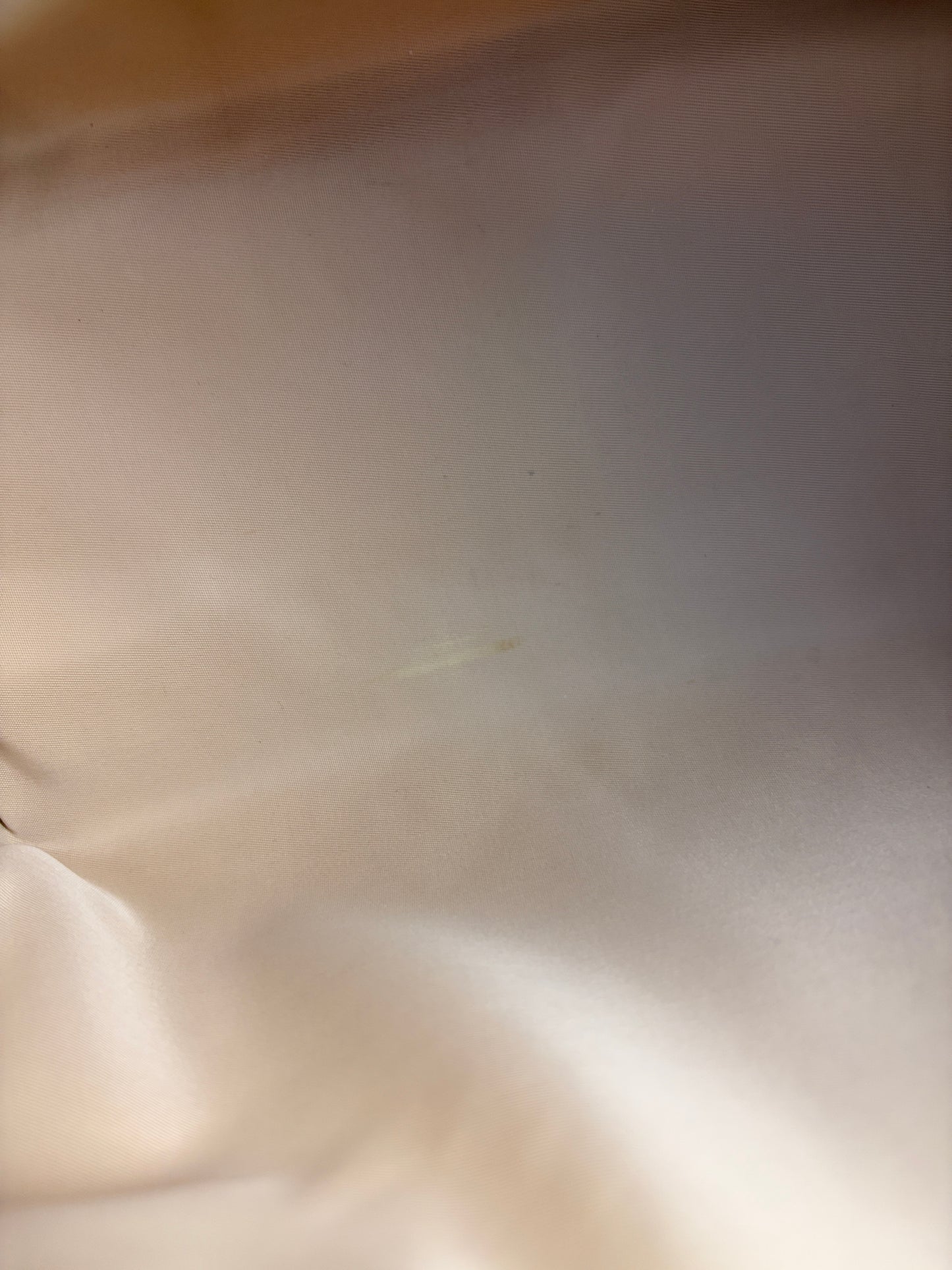 Christian Dior Trotter Boston Bag in Beige with Floral Embroidery