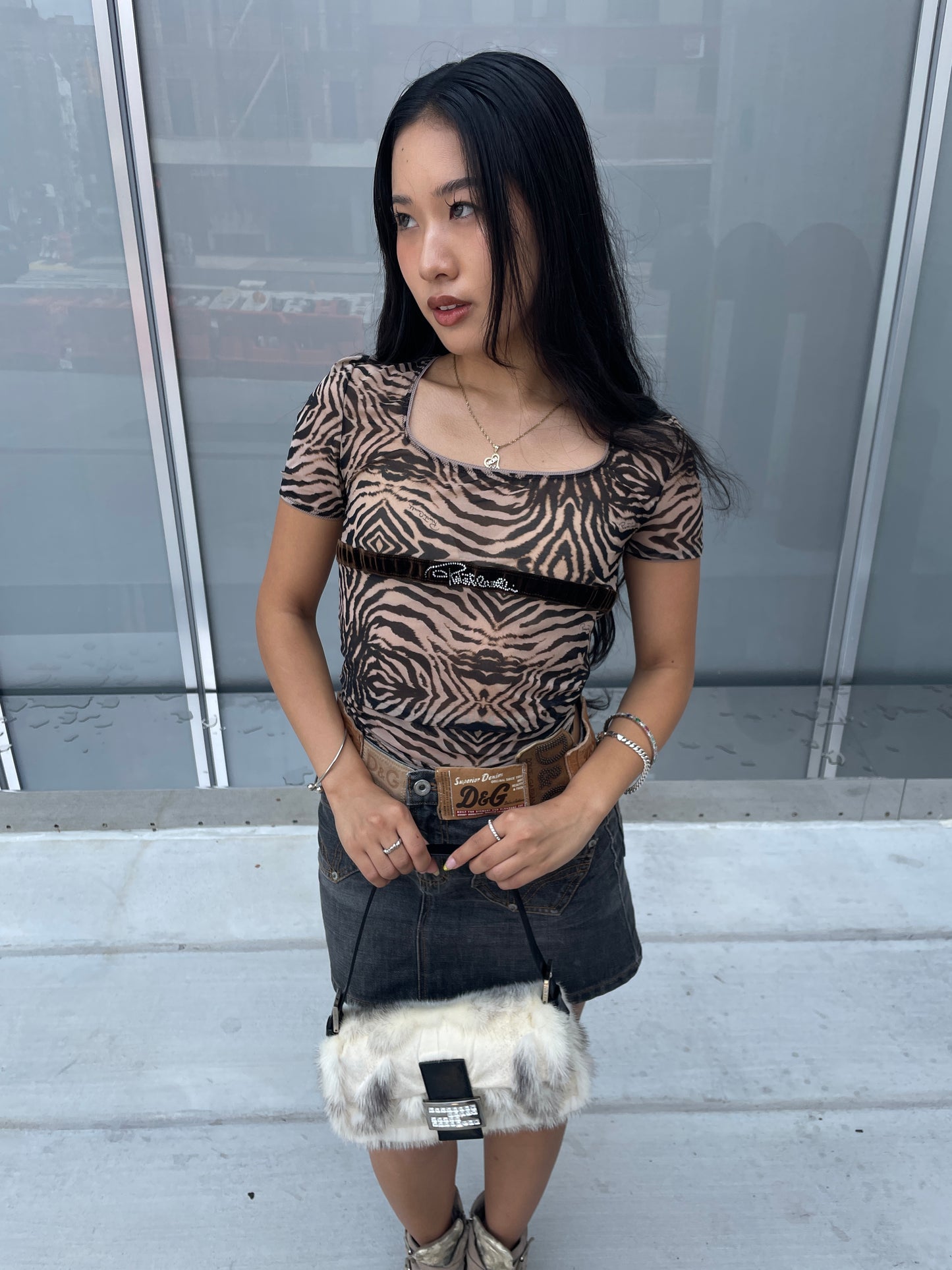 Roberto Cavalli Sheer Tiger Print Logo Shirt