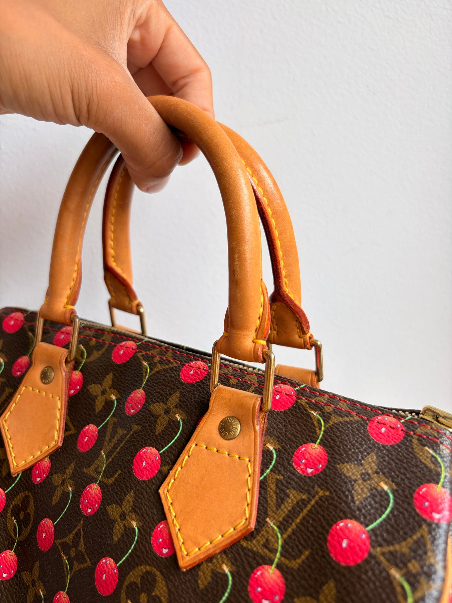 Louis Vuitton x Takashi Murakami Cherry Speedy 25