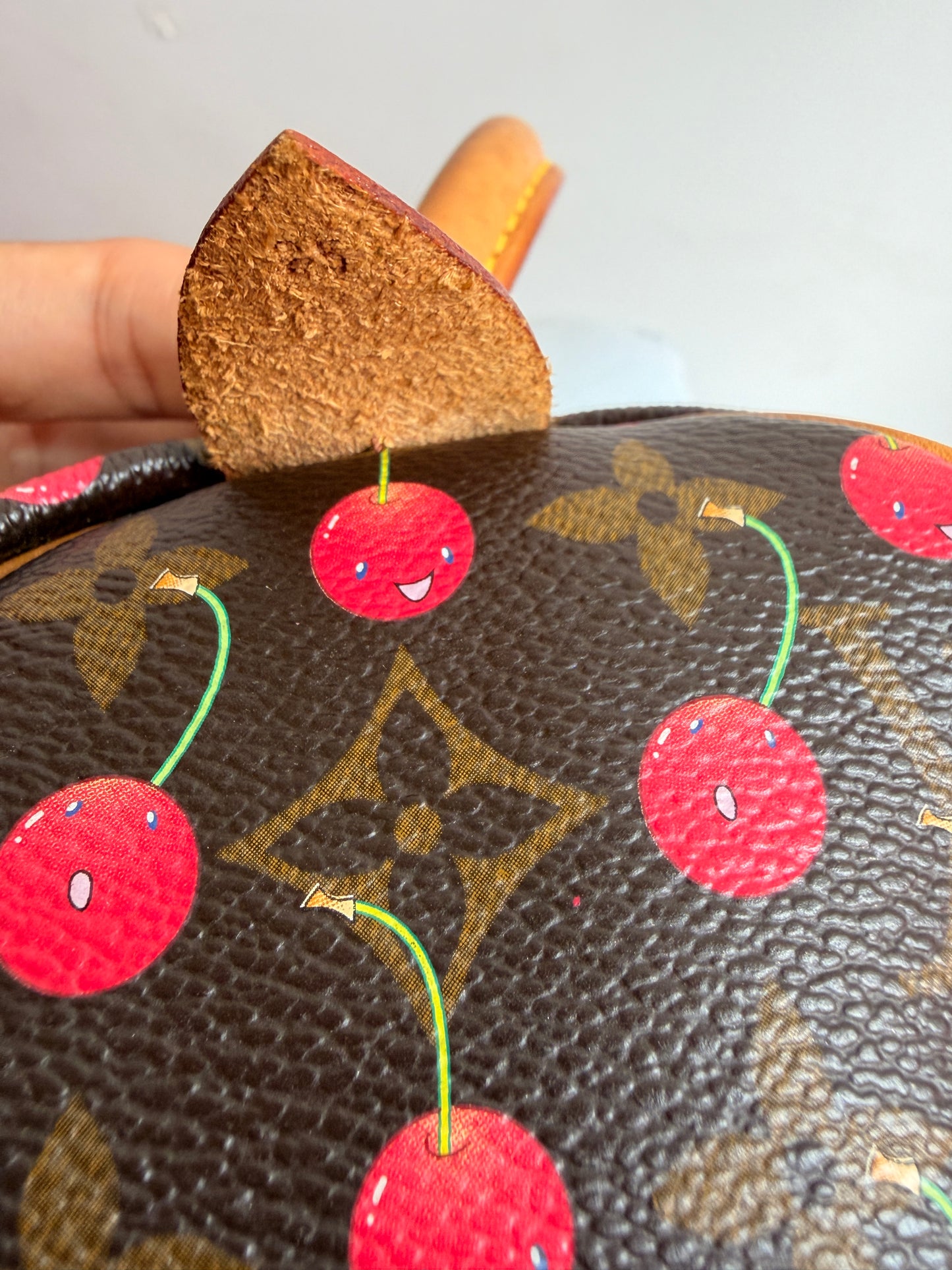 Louis Vuitton x Takashi Murakami Cherry Speedy 25