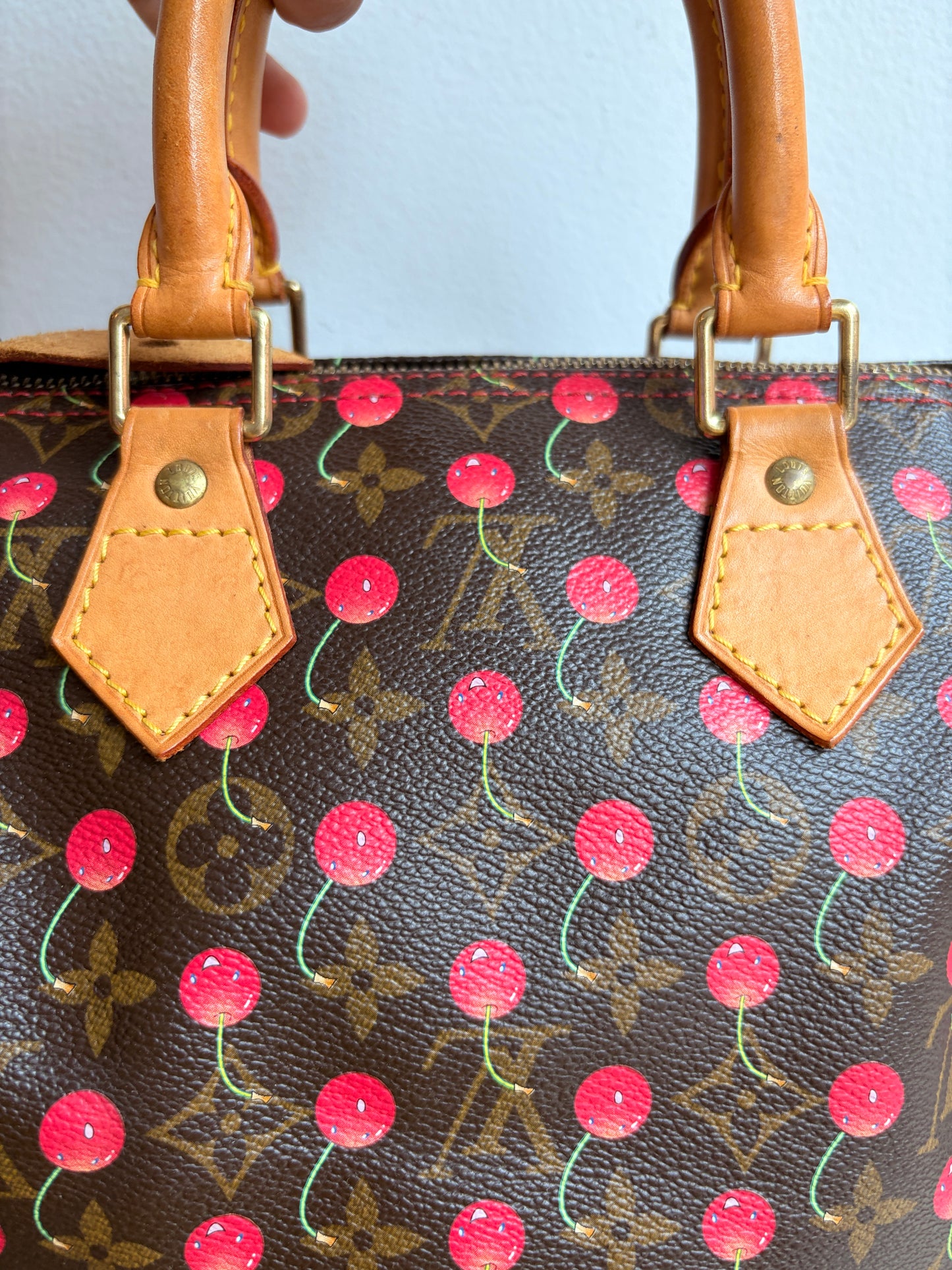 Louis Vuitton x Takashi Murakami Cherry Speedy 25