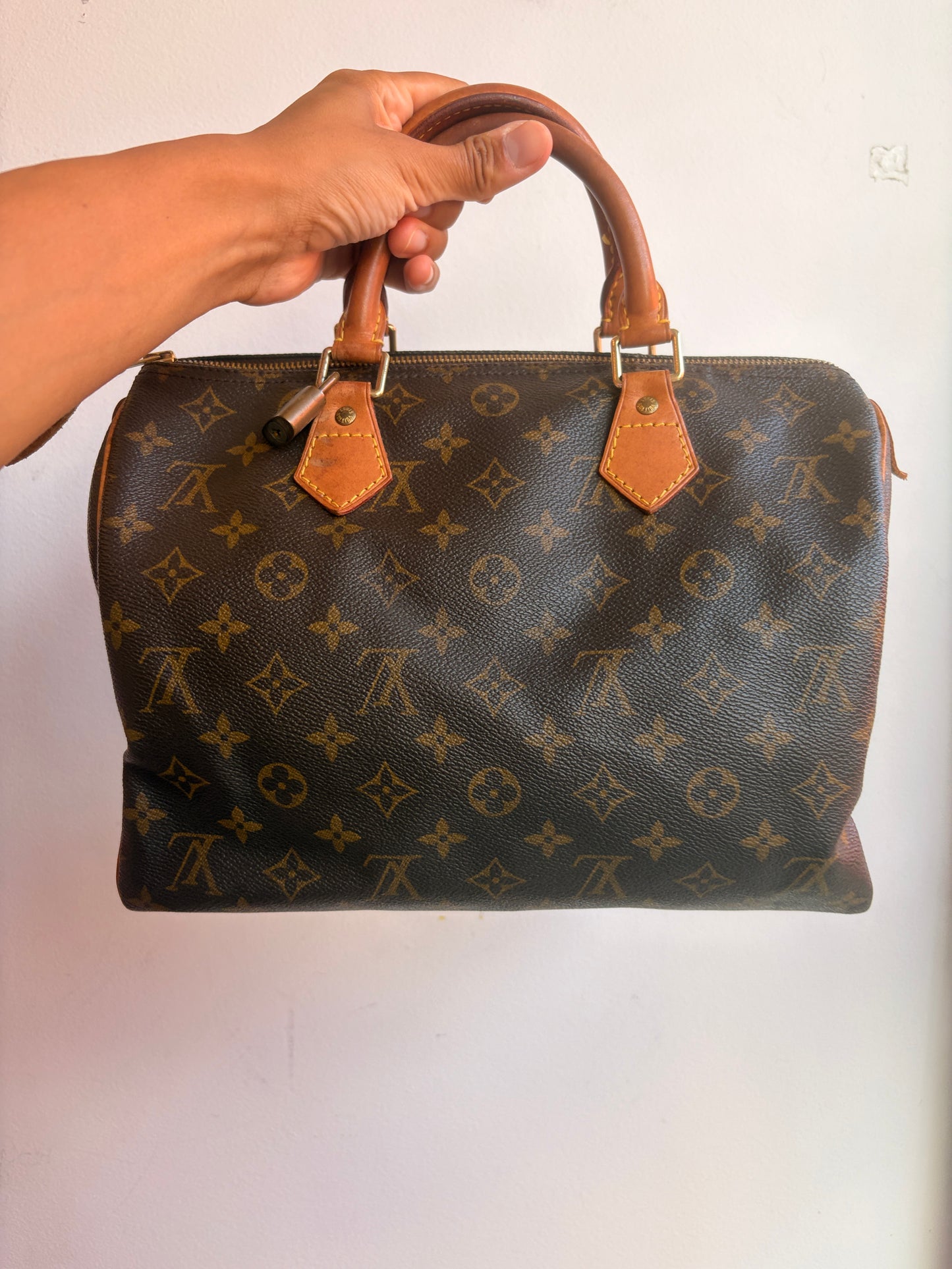 Louis Vuitton Speedy 30 in Monogram