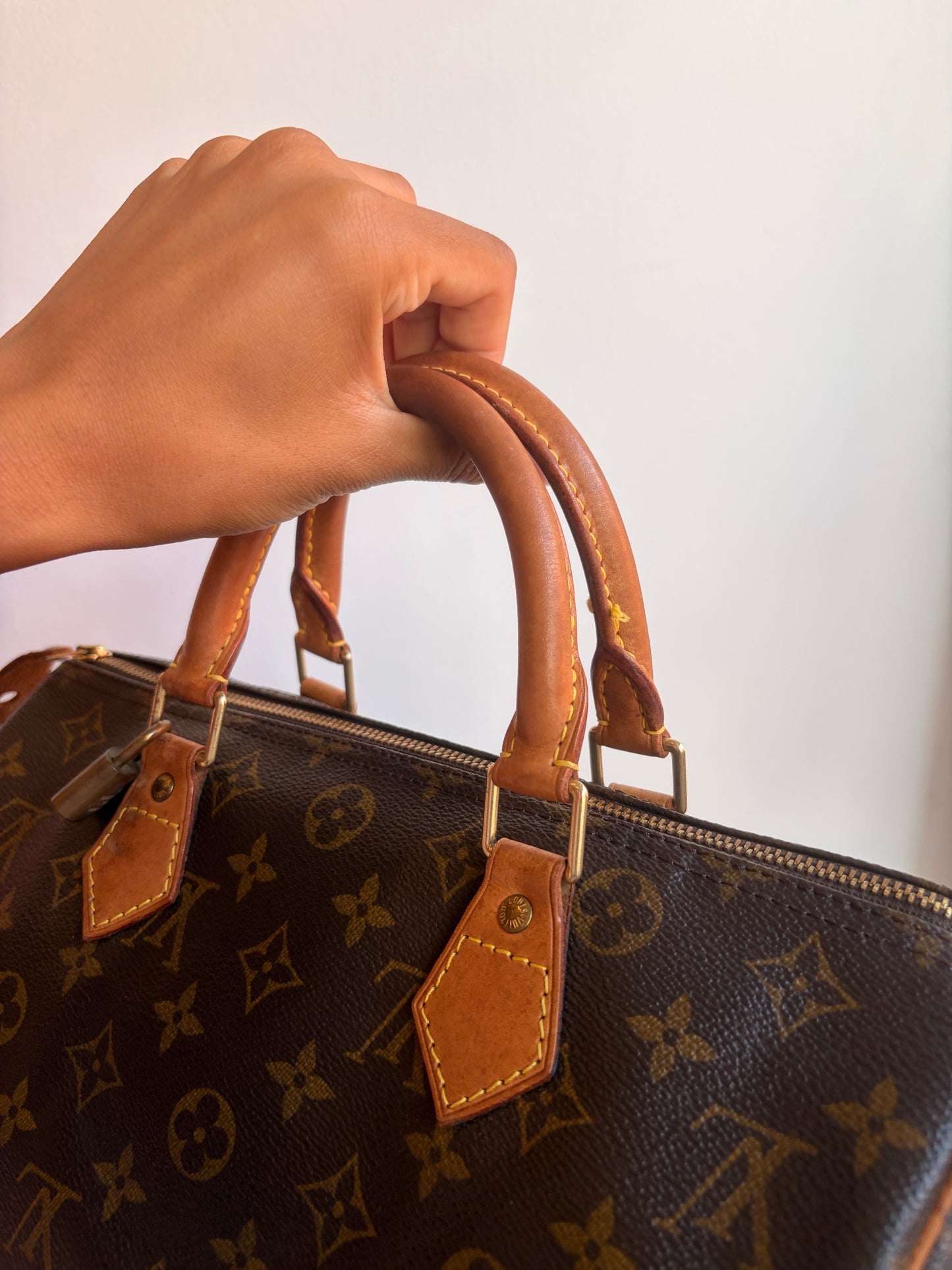 Louis Vuitton Speedy 30 in Monogram