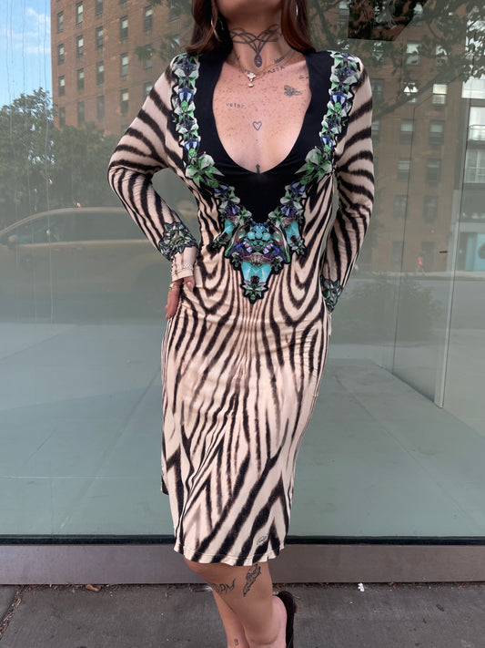 Roberto Cavalli Zebra & Floral Print Dress