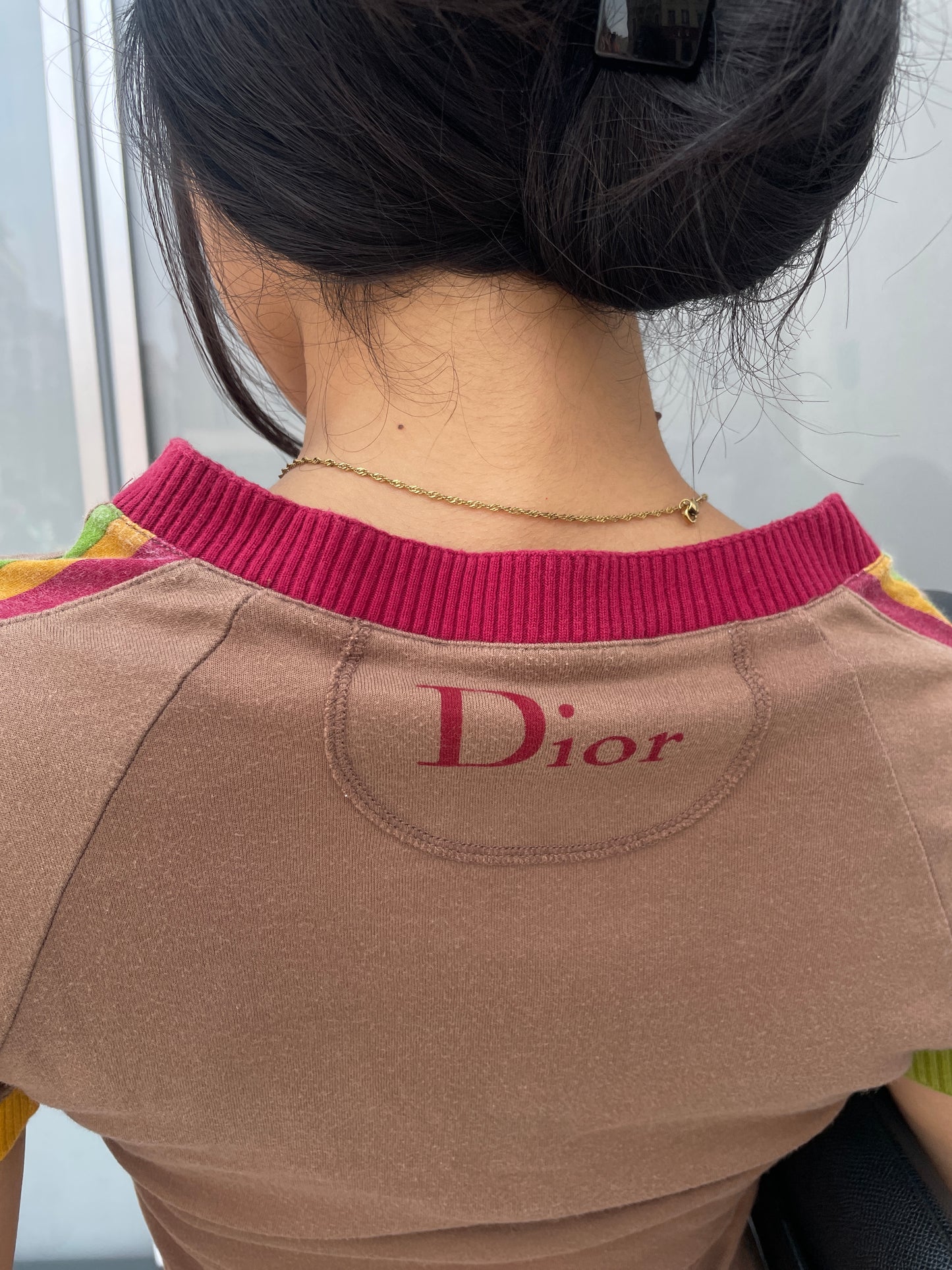 Christian Dior Rasta #1 V-Neck T-Shirt in Brown