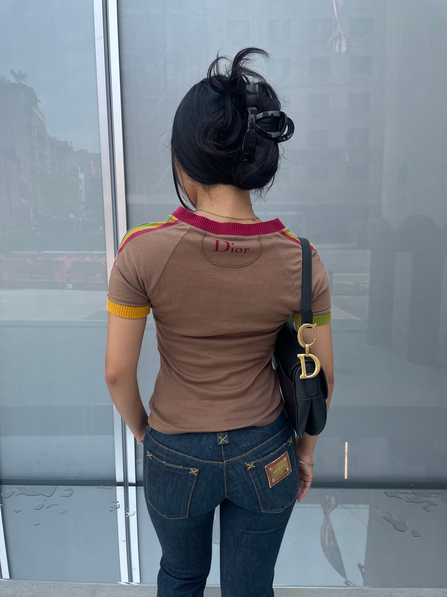 Christian Dior Rasta #1 V-Neck T-Shirt in Brown